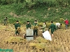 “People’s heart posture” in Lang Son border areas